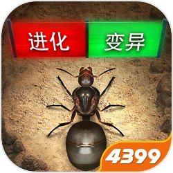 棣月系粉丝现状