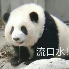 爸爸当家嘉宾阵容