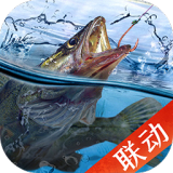 恋综背调