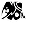小鹏价格炸裂